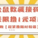 最新松鼠数藏接码拉新无限撸1元项目，提现秒到账【赶紧撸随时和谐】