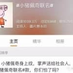 低成本高利润，90%利润率，社会人小猪佩奇了解下，轻轻松松月赚8000+