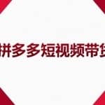 2022风口红利期-拼多多短视频带货，适合新手小白的入门短视频教程