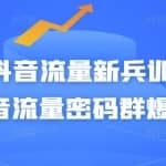 Peter抖音流量新兵训练营-破解抖音流量密码群爆训练营（新兵）