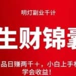 明灯副业千计—《生财锦囊》第47计：暴力产品日赚两千＋，小白上手机会，5分钟立马学会收益