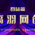高羽网创百站篇第13讲：冷门VPS测评站项目，无成本空手套年入10万