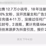 小说分销暴利赚钱项目，日引万粉的另类玩法