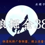 侠狼掘金38招第6招：快速玩转广告联盟，踏上流量变现之路