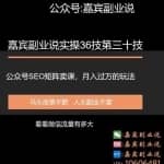 嘉宾副业说实操36技第三十技：公众号SEO矩阵卖课，月入过万的玩法实操