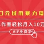 0元试用暴利赚钱项目：一个员工每天佣金单500到1000，工作室月入10万+