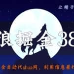 侠狼掘金38招第14招全自动代刷网，利用信息差打造百万市场