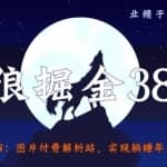 侠狼掘金38招第2招图片付费解析站，实现躺赚年入50万
