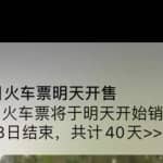 过年刚需项目，利用信息差日赚500+，代购火车票了解下！