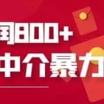 网贷中介暴利赚钱项目，只要愿意花时间去做，一天收入800+没问题