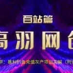 高羽网创百站篇第9讲：钓鱼充值挥产项目实解（附资源）