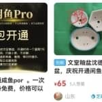 售价488的闲鱼开通PRO教程