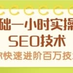 零基础一小时实操网站SEO技术，带你快速进阶百万技术圈，网赚系列课程第4课