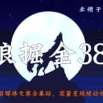 侠狼掘金38招第34招自媒体文案合集站，流量变现被动收入月入5000+
