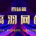 高羽网创百站篇第21讲：老司机番hao库，打通百万流量管道