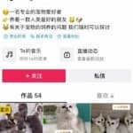 抖音热门同城副业项目，无脑操作一天500+