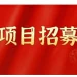 高鹏圈·蓝海中视频项目，长期项目，可以说字节不倒，项目就可以一直做！