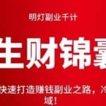 明灯副业千计—《生财锦囊》第57计（二）：快速打造赚钱副业之路，冷门发大财蓝海领域