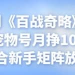 忠余网创《百战奇略》第七十七法：宠物号月挣10000+，适合新手矩阵放大