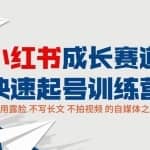 小红书0粉起号实操课程：无需露脸，不写长文，不拍视频月入过万