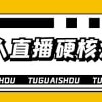 大飞无人直播硬核爆单技术，轻松玩转无人直播，暴利躺赚