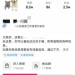 不用引流，一天赚1000+，很简单的闷声搞钱路子