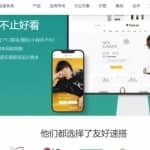 友好速搭赚钱项目，虚拟模板年入十万