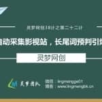 灵梦网创38计之第二十二计：全自动采集影视站，长尾词预判引爆流量