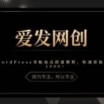 《爱发必学第14课》WordPress导航站点搭建教程，快速获取流量1000+