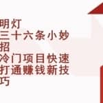 明灯三十六条小妙招第12招冷门项目快速打通赚钱新技巧
