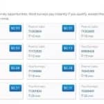 国外网赚：0成本撸美金的小项目，每天赚个奶茶钱！