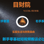 《目财36变》第十六变：新手零基础短视频搬运必过原创项目