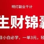 明灯副业千计—《生财锦囊》第41计：冷门项目小白必学，一单3元，轻轻松松月入过万