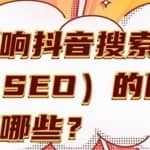 抖音SEO提前布局，大几率就是下一个百度SEO，不要错过