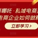 大圣电商哪吒·私域电商流量密码课，教电商企业如何做私域运营