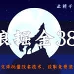 侠狼掘金38招第32招文件批量改名技术，获取免费流量必备技能