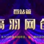 高羽网创百站篇第17讲：永不过时算命网项目，偏门暴li自动月入过万