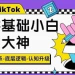 TikTok底层逻辑及短视频运营方法系列课，运营体系，底层逻辑，认知升级