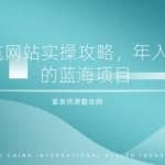 导航网站实操攻略，年入10w的蓝海项目（视频教程+源码）