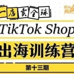 TikTokShop出海训练营（第十三期），打开全球流量新思维，出海抢占全球新流量，一店卖全球