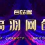 高羽网创百站篇第18讲：小说漫画站二合一，长尾布局引爆流量