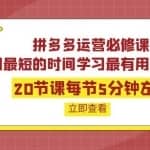 拼多多运营必修课：20节课每节5分钟左右，用最短的时间学习最有用的知识