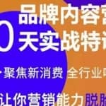 《内容营销实操特训营》20天让你营销能力脱胎换骨（价值3999）