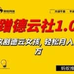 聚蚁思维蹭德云社赚钱1.0，收割德云女孩，轻松月入过万