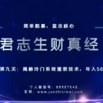 君志生财真经第九关：揭秘冷门系统重装技术，年入50w