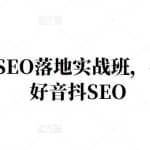 王通·抖音SEO落地实战班，手手带你做好音抖SEO