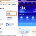 利用信息差赚钱，支付宝芝麻粒项目思路，看完就知道了