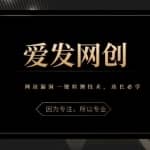 《爱发必学第6课》网站漏洞一键检测技术，站长必学