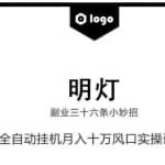 明灯副业三十六条小妙招之第18招全自动挂机月入十万风口实操讲解