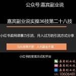 嘉宾副业说实操36技第二十八技：小红书卖虚拟网课引流，月入过万的实操项目分享